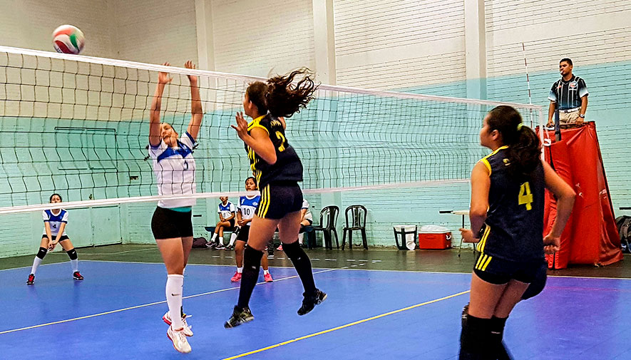 Voleibol