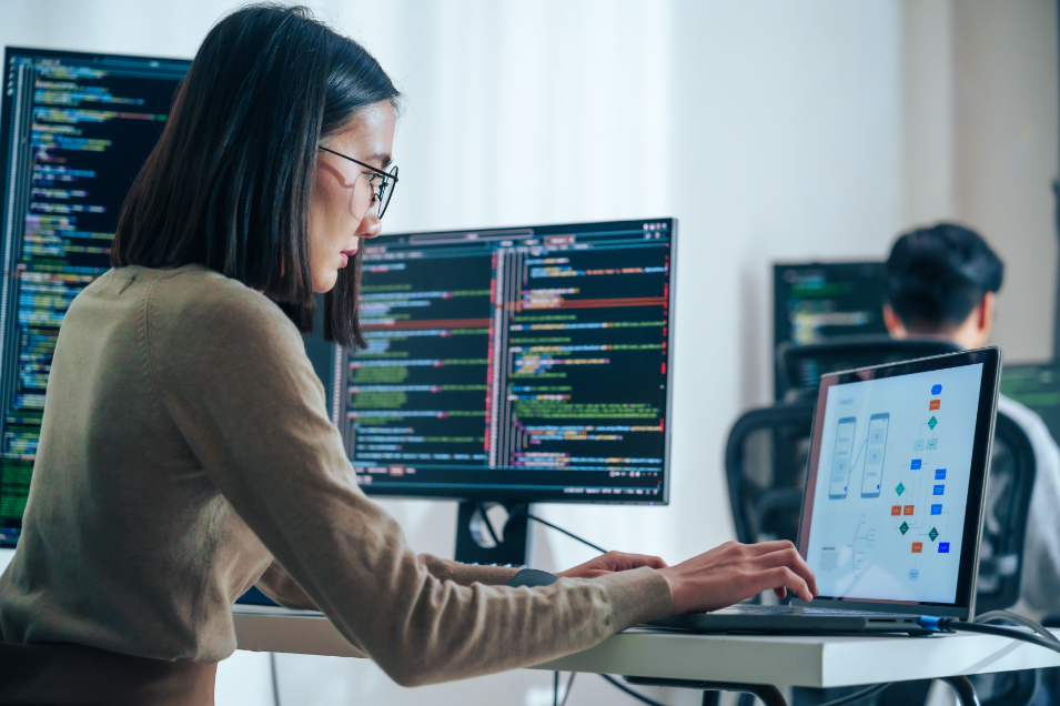 Técnico Superior en Desarrollo de Software 